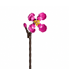 Charger l'image dans la galerie, Fleur tige bloc de construction Cyclamen luginae