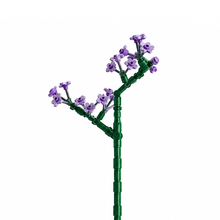 Charger l'image dans la galerie, fleurs tige bloc de construction Statice Violettes luginae
