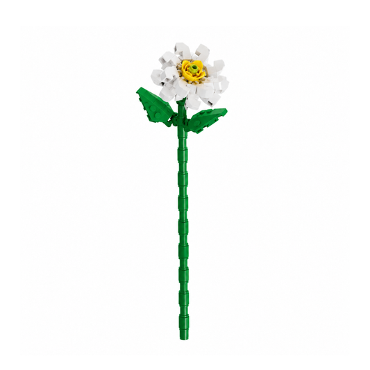 fleurs tige bloc de construction Marguerite luginae