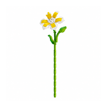 Charger l'image dans la galerie, fleurs tige bloc de construction Plumeria luginae