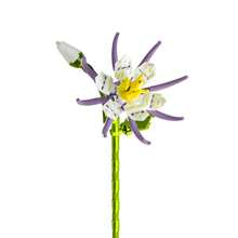 Charger l'image dans la galerie, fleurs tige bloc de construction Ancolie des Alpes luginae