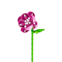 Charger l'image dans la galerie, Fleur tige bloc de construction Rose luginae