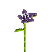 Charger l'image dans la galerie, Fleur tige bloc de construction IRIS luginae