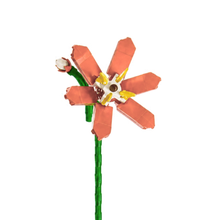 Charger l'image dans la galerie, Fleur tige bloc de construction Crocosmia luginae