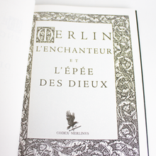 Charger l'image dans la galerie, Merlin l'Enchanteur et l'Epée des Dieux luginae