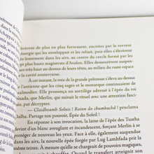 Charger l'image dans la galerie, Merlin l'Enchanteur et l'Epée des Dieux luginae