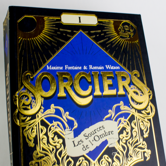 Sorciers - Tome 1 les sources de l'ombre luginae