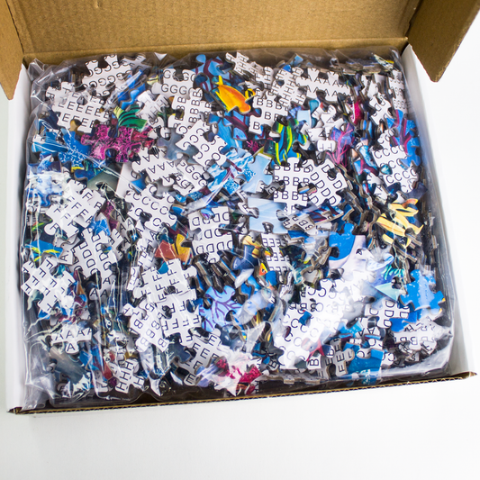 Puzzle 1000 pièces Dauphins luginae