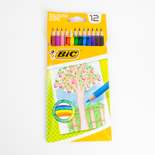 Charger l'image dans la galerie, 12 Crayons de couleur luginae
