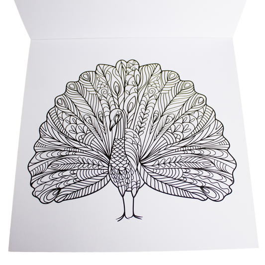 Cahier de coloriage 24 dessins anti-stress luginae
