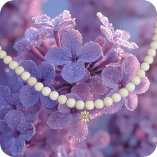 Charger l&#39;image dans la galerie, Collier ras de cou JASMINE
