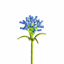 Charger l'image dans la galerie, Fleur bloc de construction Agapanthe luginae
