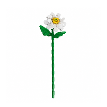 Charger l'image dans la galerie, fleurs tige bloc de construction Marguerite luginae
