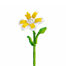 Charger l'image dans la galerie, fleurs tige bloc de construction Plumeria luginae
