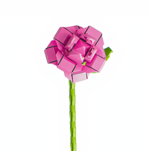 Charger l'image dans la galerie, fleurs tige bloc de construction Rose luginae
