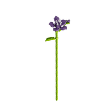 Charger l'image dans la galerie, Fleur tige bloc de construction IRIS luginae
