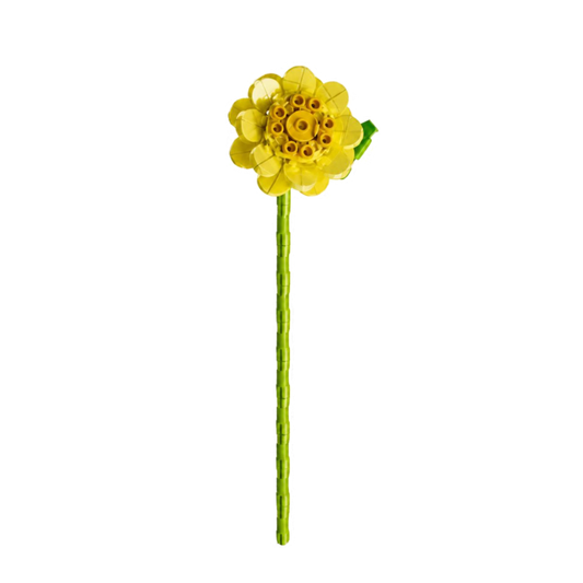 Fleur tige bloc de construction Daisy luginae