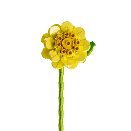Fleur tige bloc de construction Daisy luginae