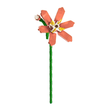 Charger l'image dans la galerie, Fleur tige bloc de construction Crocosmia luginae
