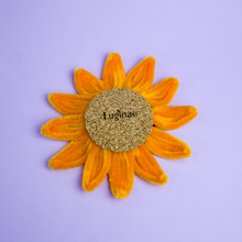 Charger l&#39;image dans la galerie, Dessous de verre Tournesol
