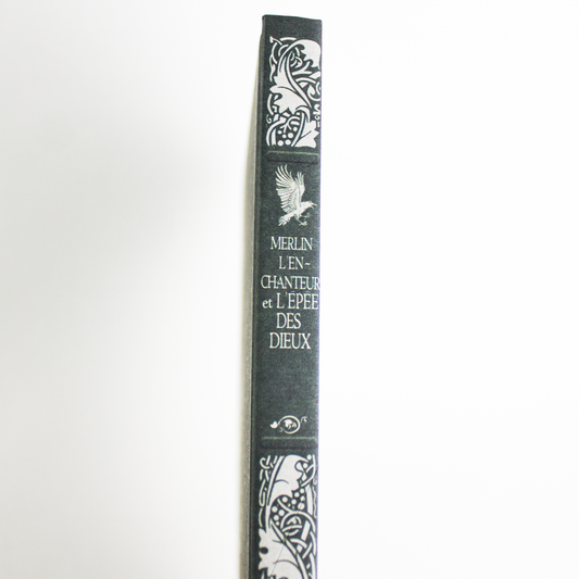 Merlin l'Enchanteur et l'Epée des Dieux luginae