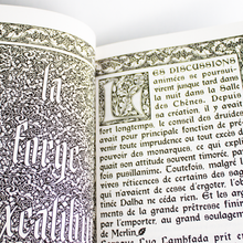 Charger l'image dans la galerie, Merlin l'Enchanteur et l'Epée des Dieux luginae
